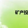 矿产投资 矿产投资有哪些风险