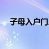 子母入户门尺寸 谁了解入户子母门价格 