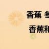 香蕉 冬枣| 香蕉和冬枣一起吃会拉肚子吗