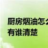 厨房烟油怎么去除 求告知怎么清除厨房油烟 有谁清楚 