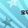 宝马M5新车型基础信息