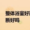整体浴室好还是玻璃隔断好 哪位清楚浴室隔断好吗 