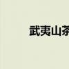 武夷山茶博会 2021武夷山茶博会