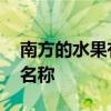 南方的水果有哪些 南方常见水果大全图片及名称