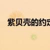 紫贝壳的约定 你是我的翅膀全文番外阅读