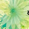 石竹花图片 百日草