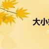 大小姐组合(蓝爱子长大后)