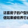 这套房子的户型结构在室内装修设计中如何优化？请私信微信如果被收养它会是红色的以示感谢