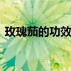 玫瑰茄的功效 玫瑰茄的功效与作用都有哪些