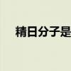 精日分子是什么意思(b站精日分子太多)