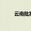 云南批发 云南各大批发市场盘点