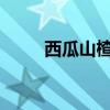 西瓜山楂哪种水果含糖量更高优质