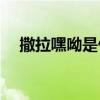 撒拉嘿呦是什么意思(撒拉嘿呦的下一句)