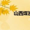 山西煤炭网 用煤的企业求购煤炭
