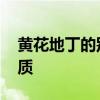 黄花地丁的别名叫什么？ 中药材黄花地丁优质