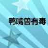 鸭嘴兽有毒 5个关于鸭嘴兽的有趣冷知识
