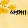 农村种什么赚钱？ 6个种植赚钱项目