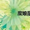 度娘是什么意思(度娘查一下)