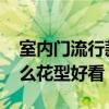 室内门流行款式白色花型 我想知道室内门什么花型好看 