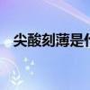 尖酸刻薄是什么意思 刻薄是什么意思解释