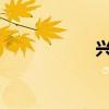 兴国安邦是什么意思