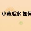 小黄瓜水 如何自制 DIY)清爽小黄瓜爽肤水？