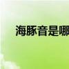 海豚音是哪首歌 抖音上一直啊的纯音乐