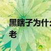 黑瞎子为什么不老 沙海黑瞎子为什么不会变老