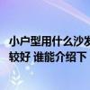 小户型用什么沙发比较合适 小户型客厅沙发的选择怎样才比较好 谁能介绍下 