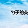 勺子的英语单词 勺子用英语怎么说 勺子的英语单词 勺子用英语怎么说