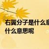 右翼分子是什么意思 经常在电视上听说的左翼和右翼到底是什么意思呢