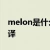 melon是什么意思 melon是什么意思英语翻译 melon是什么意思 melon是什么意思英语翻译