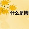 什么是博鳌论坛(博鳌亚洲教育论坛) 什么是博鳌论坛(博鳌亚洲教育论坛)