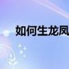 如何生龙凤胎 四个方法帮你怀上龙凤胎