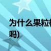 为什么果粒橙不能喝(果粒橙饮料孕妇可以喝吗)
