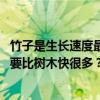竹子是生长速度最快的植物为什么？ 为什么竹子生长的速度要比树木快很多？
