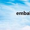 emba哪个学校好(名校emba)
