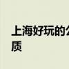上海好玩的公园 上海值得一去的18个公园优质