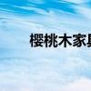 樱桃木家具的优缺点樱桃木家具图片
