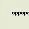 oppopad拆机 OPPOPad多少钱 