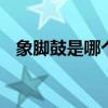 象脚鼓是哪个民族的乐器 象脚鼓起源历史