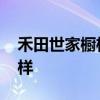 禾田世家橱柜台面 求大神解答禾田厨柜怎么样 