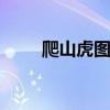 爬山虎图片 爬山虎长什么样子图片