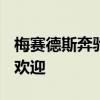 梅赛德斯奔驰V级轿车在其细分市场中非常受欢迎