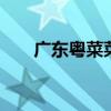 广东粤菜菜谱 粤菜中公认的十大名菜