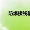 防爆接线箱规格 请问防爆接线箱报价 