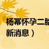 杨幂怀孕二胎最新消息图片（杨幂怀孕二胎最新消息）