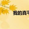 我的真平板X的峰值亮度是多少？