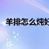 羊排怎么炖好吃又简单(如何清炖羊排好吃)