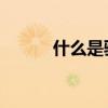 什么是骈文 骈文的4个主要特征